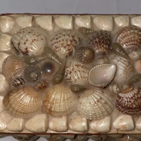 Shell Covered Small Box - Picture 3 of 9